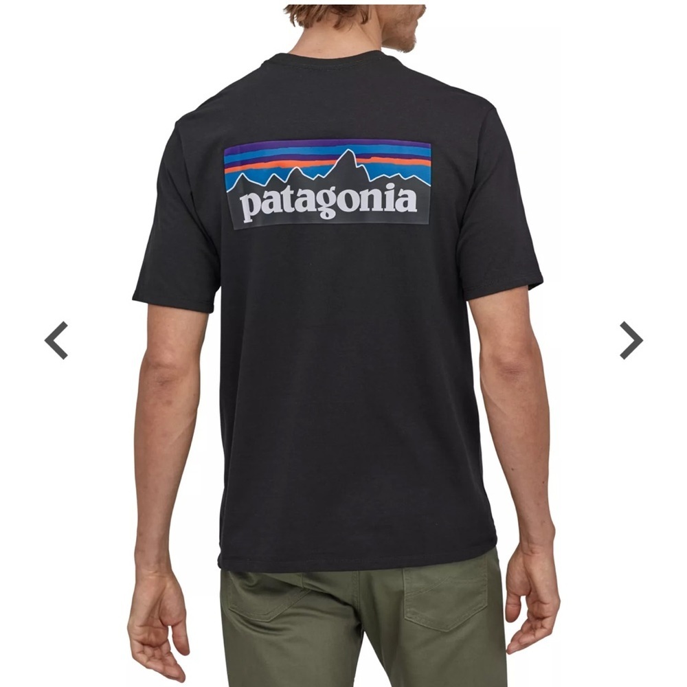 Patagonia Black Tee with Multicolor Mountain Logo